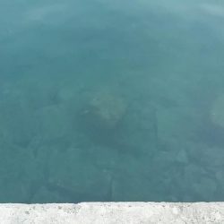 未明～昼まで須磨海岸西側をランガン。貧果に終わりました…。